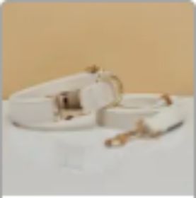 Multiple Colour Velvet Personalise Dog Collar Leash Set With Bow (Option: White set-M)