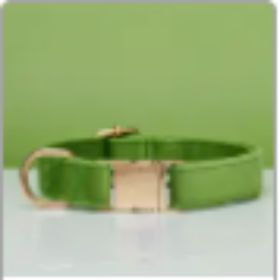 Multiple Colour Velvet Personalise Dog Collar Leash Set With Bow (Option: Green-L)